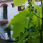 Σπίτι διακοπών Casa Do Cesar Douro