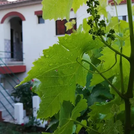 Tatil Evi Casa Do Cesar Douro