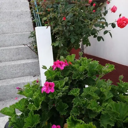 Holiday home Casa Do Cesar Douro *