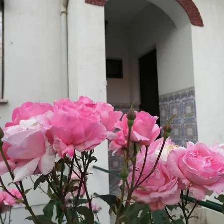 Casa Do Cesar Douro Tabuaço