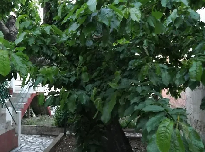 Casa Do Cesar Douro טבואקו