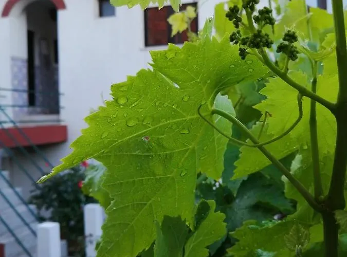 בית נופש Casa Do Cesar Douro