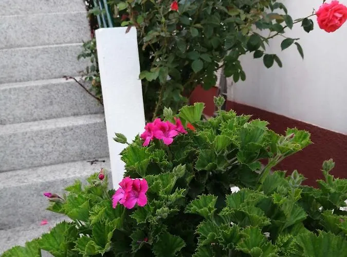 度假居 Casa Do Cesar Douro *