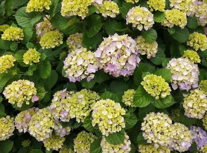 Casa Do Cesar Douro בית נופש טבואקו