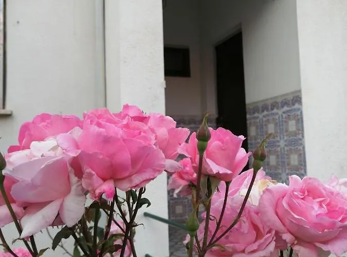 Casa Do Cesar Douro 塔布科